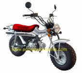 2010 Puma T-Rex 125 photo